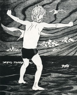 1985 Martin o Havet
